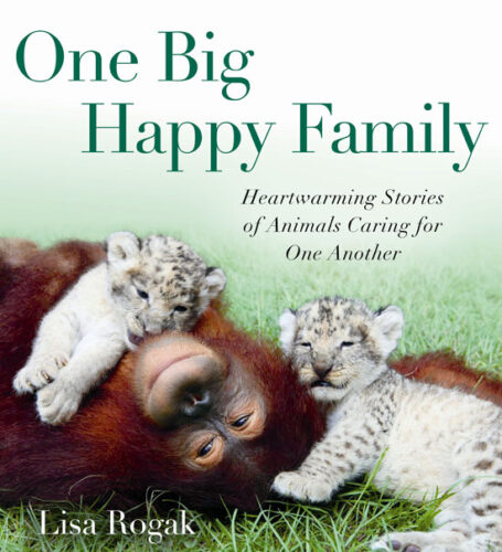 Miracles of Interspecies Adoption: The Pig and His Lamb
